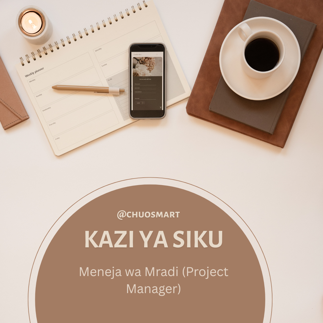 Meneja wa Mradi (Project Manager)