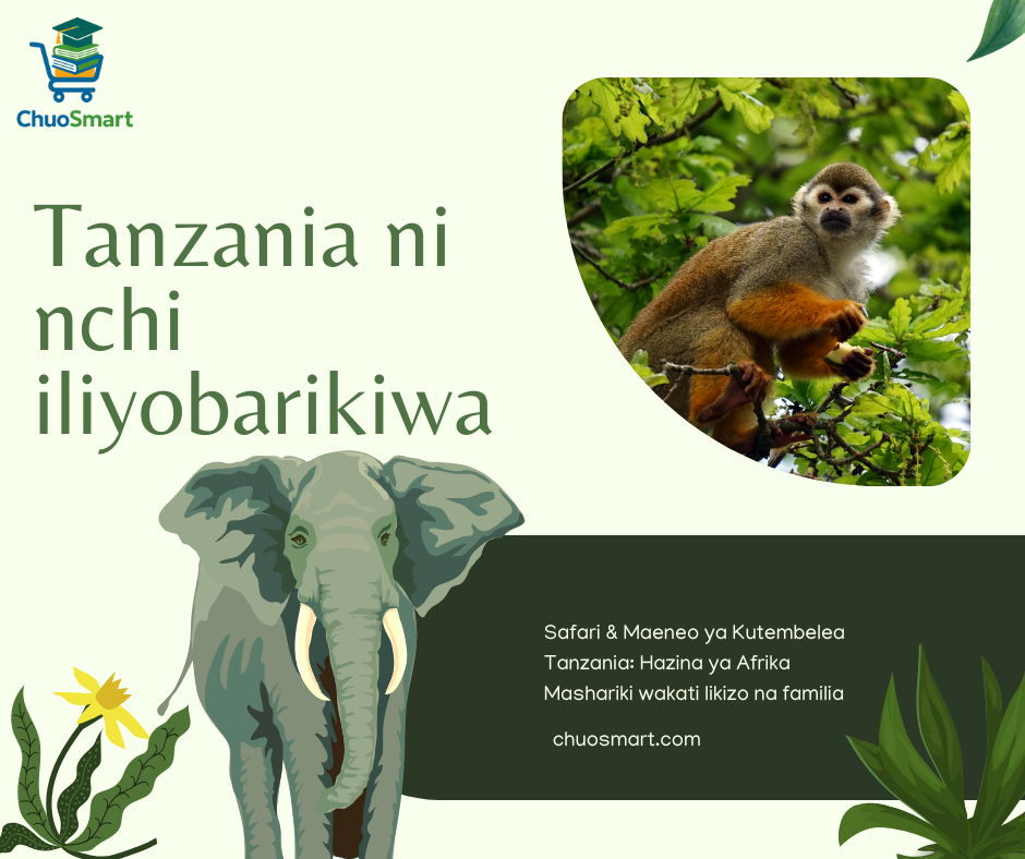 Safari & Maeneo ya Kutembelea Tanzania: Hazina ya Afrika Mashariki wakati likizo na familia